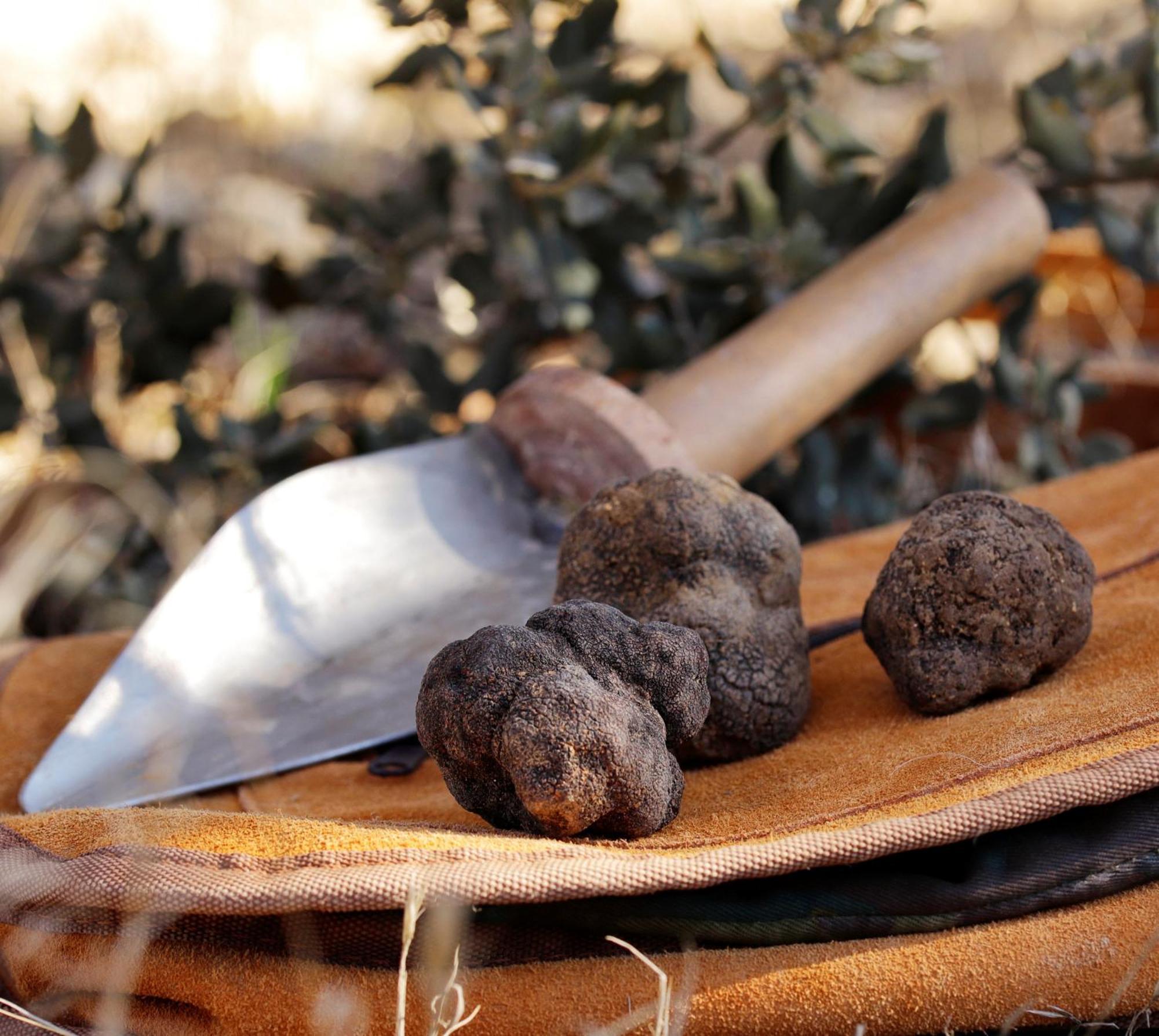 Aromas Del Jiloca, Tierra De Trufas Apartment Calamocha Luaran gambar